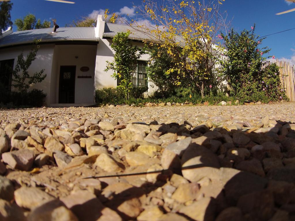 The Olive Thrush Cottage Prince Albert Exterior photo